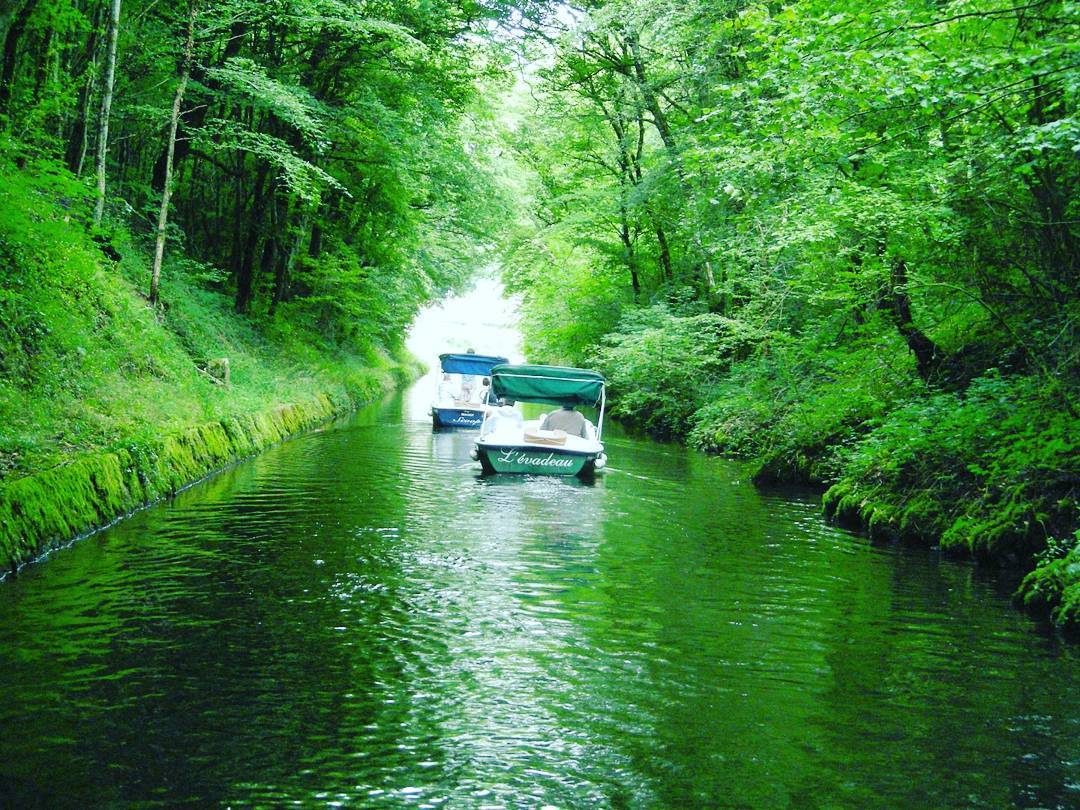 Ballade sur un bateau E-SEA sur la rivière de Crach calme et silencieuse 